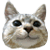 020.gif