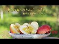 [10000印刷√] 高徳 りんご 通販 250803-高徳 りんご 通販