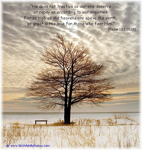 Lone tree on Lake Huron shoreline (photo by Howard J. Blichfeldt)