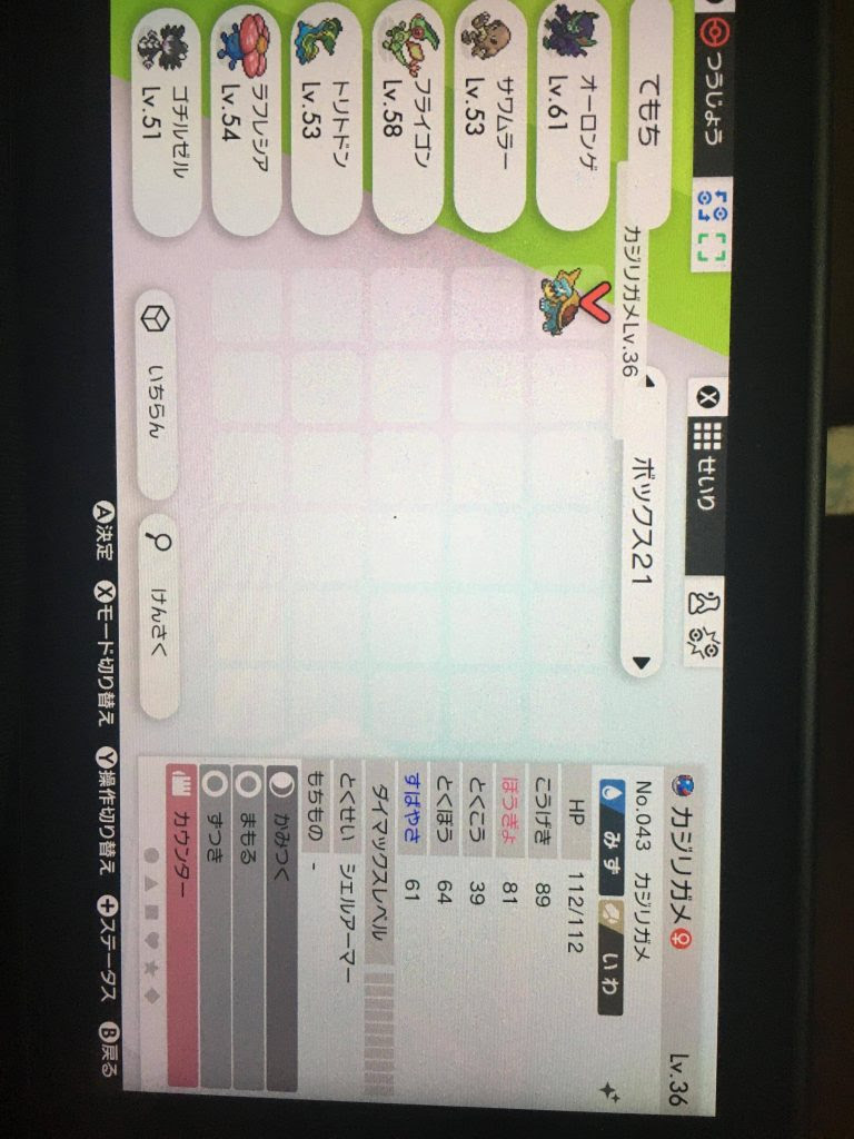 ポケモン 剣盾 育成論等の個体値の表記でxで表記されてる場合はどういう意味があるのでしょうか ポケモンまとめ 仮 剣盾 ソード シールド