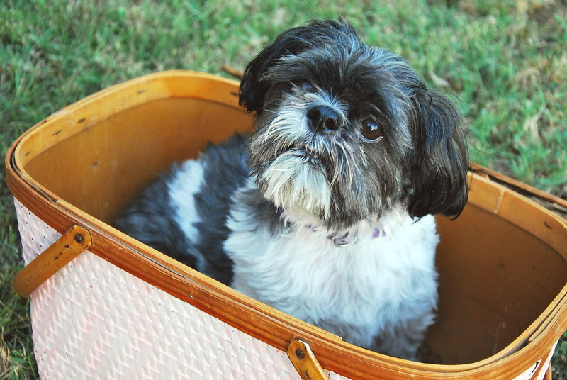 picnic basket restyle