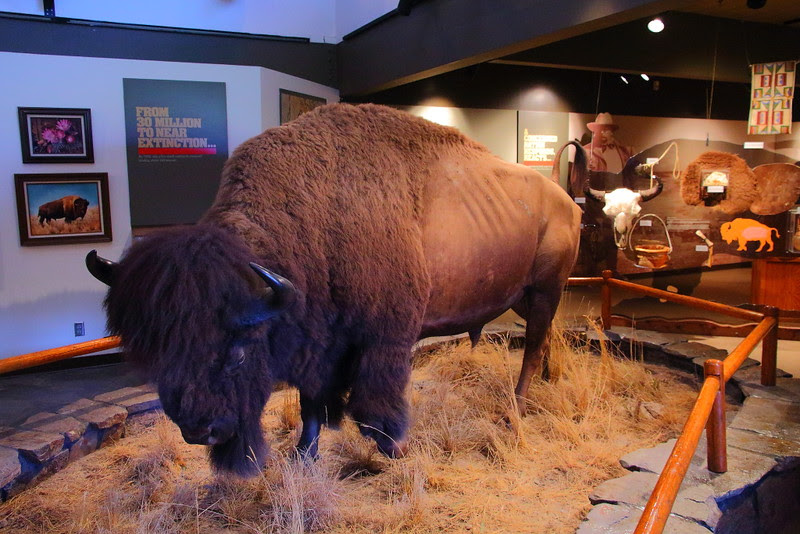 IMG_3737 Visitor Center, National Bison Range