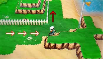 オメガルビー Oras の自動レベル上げ 孵化 なつき度上げの方法