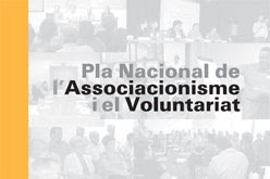 100601 Consell de l'Associacionsime i el Voluntariat 