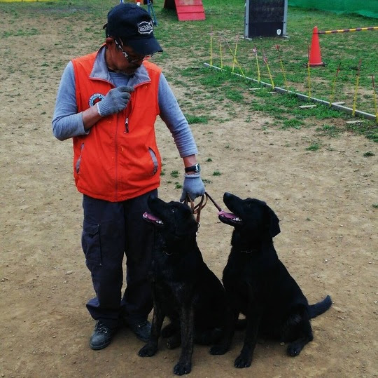 埼玉で愛犬のしつけ教室なら パティスター ドッグスクール へ