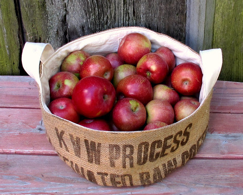 extra large and low bucket of apples