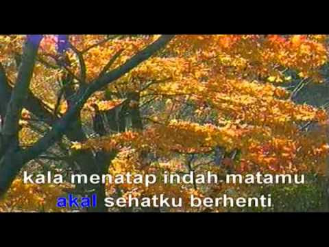 Youtube Youtube Akal Sehat Ada Band