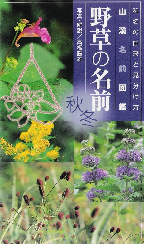 なずな が持ってる花に関する本 花の名前 サルビア 07 06購入 日本放送出版協会 ９５０円 よくわかる栽培１２か月 １２７ページ B6 花の名前と育て方大辞典 07 06購入 成美堂 １６００円 花色別分類がある ２７１ページ ａ４ 野の草花図鑑