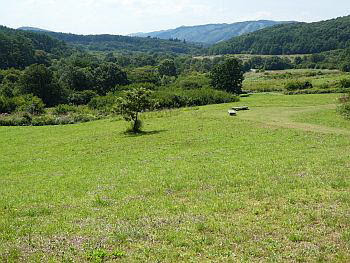 八幡高原 赤ソバの花 霧ガ谷湿原