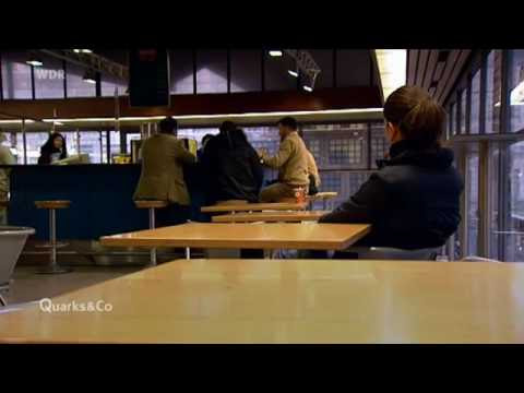 Quarks und co autismus test