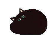 Black Cat Sleeping
