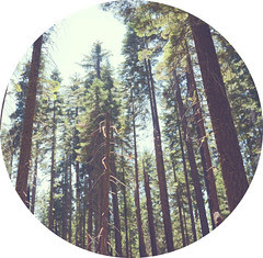 circlebanner