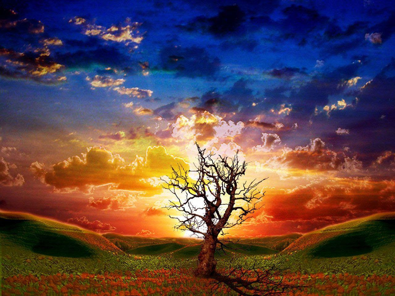 3D Nature Wallpapers - Wallpaper Cave