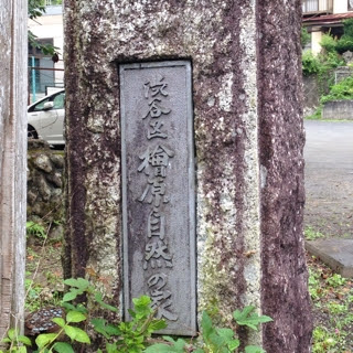 渋谷区檜原自然の家 彡 渋谷区区議会議員 ひさなが薫のブログ