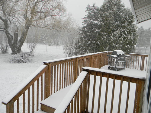 Where we SHOULD be grilling right now.
