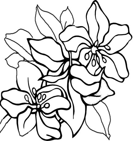 Difficult Coloring on Here Are A Few Coloring Pages To Get You Going