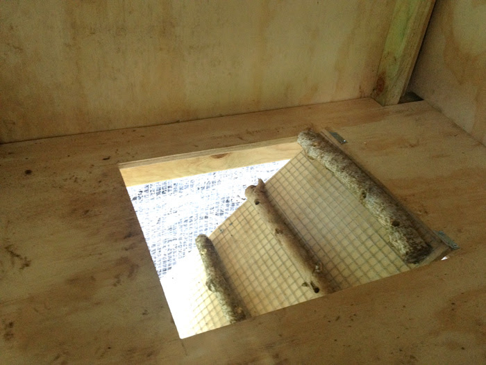 Steve used The Garden Coop plans to build this secure walk-in coop at 