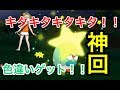 √70以上 ポケモン サン モ���ロー 208404-ポケモン サン モクロー 入手