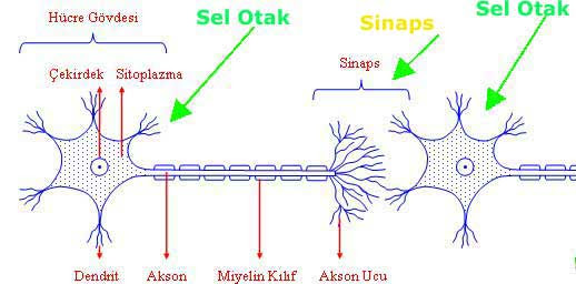 Gambar terkait
