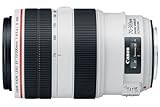 Canon EFレンズ EF70-300mm F4-5.6L IS USM ズームレンズ 望遠