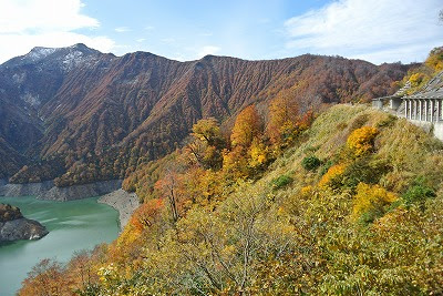 11月5日 月 田子倉湖と国道252号線の紅葉状況 只見町観光まちづくり協会 公式webサイト