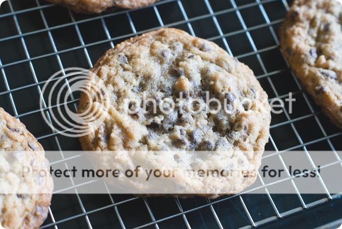 doubletree hotel cookies rack single photo doubletreecookies3of8.jpg