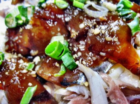 アジの簡単丼レシピ あじのダブル使いの鯵の薬味丼 魚料理の簡単 おいしいレシピ集