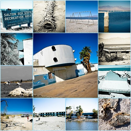 The Salton Sea 2008
