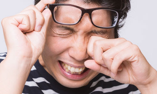 泣ける野球dvd Dvdスポーツ スポーツに関するdvdをまとめた情報サイトdvdスポーツ