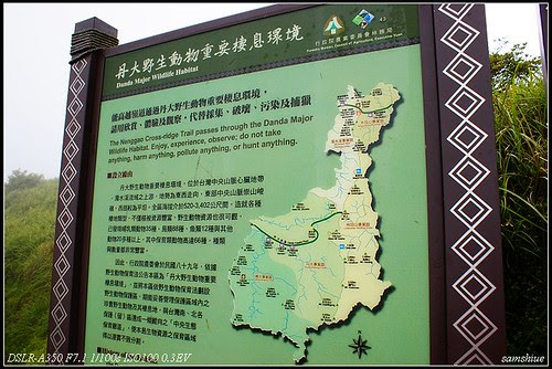 DSC05906