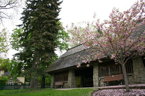 Edwards Gardens 16