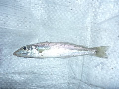 P1120364