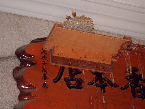 IMAG0061.jpg