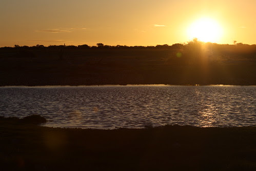 Sunset over the watering hole - Etosha