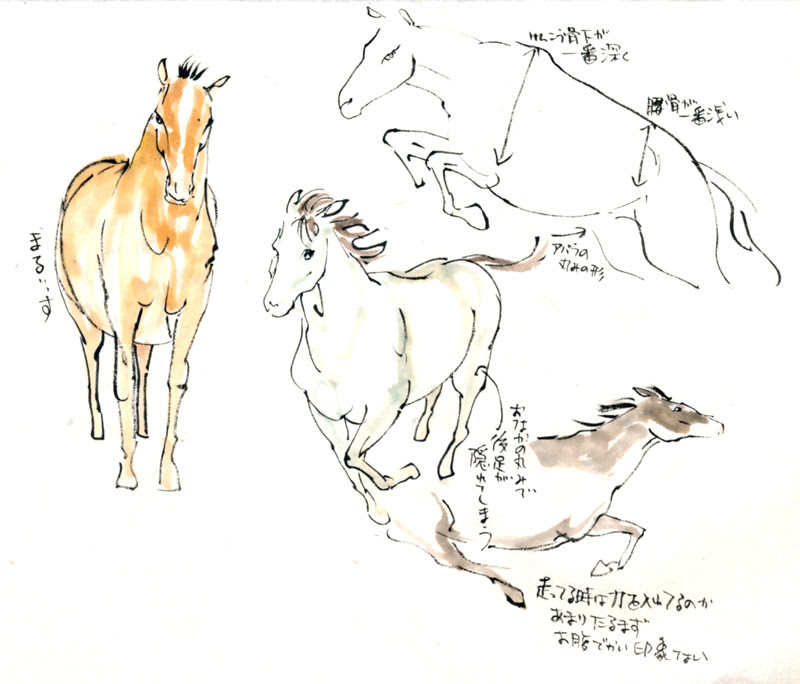 馬の描き方