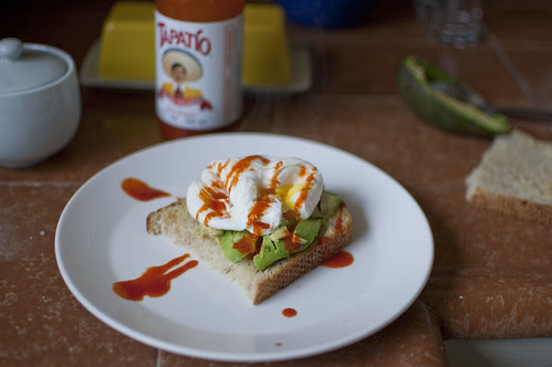 poached egg + avocado toast