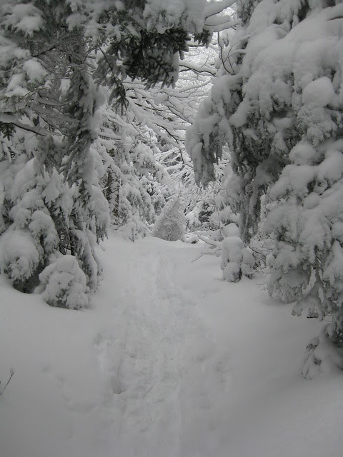 20101217_127