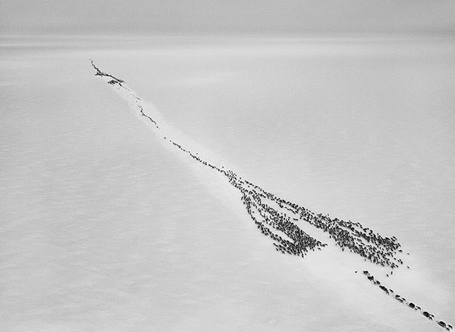 Salgado: Crossing the Ob River to enter the Arctic Circle 