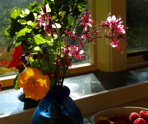 DSC00845 - Version 2