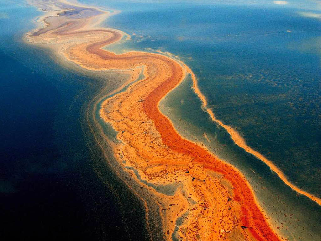 Nach Deepwater Horizon: Wie steht's um Golf von Mexiko ...