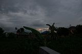  photo IMG_1292.jpg