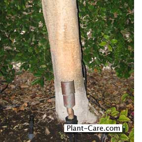 Outdoor Landscaping Lights