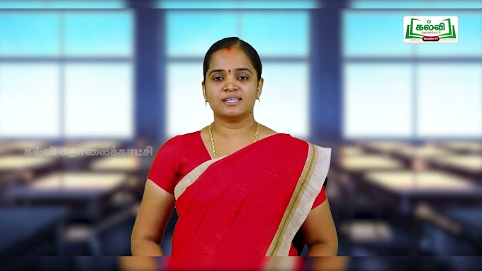 5th English Kalvi TV Bridge Course Work Sheet