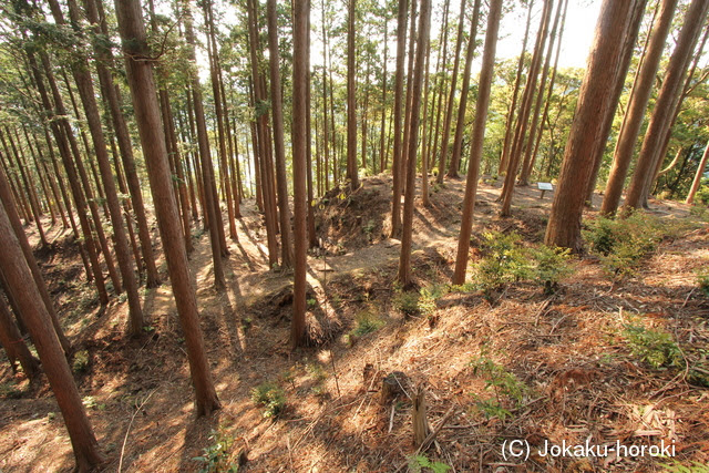 遠江 犬居城 城郭放浪記