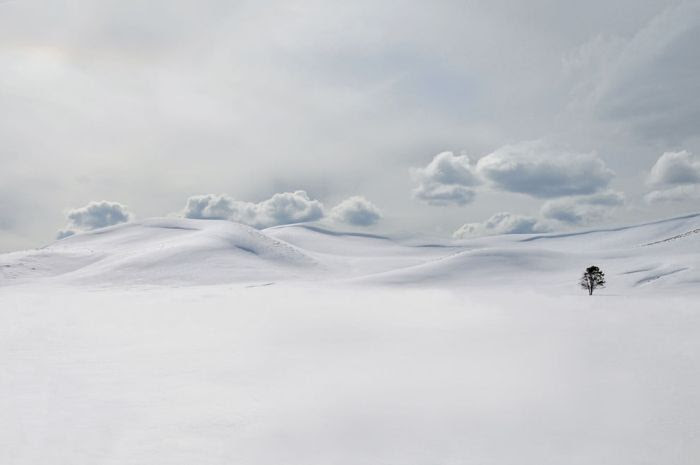 National Geographic Photo Contest 2011 (45 pics) National Geographic Photo Contest 2011 (45 pics)
