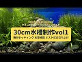 後景草 おすすめ 322403-後景草 おすすめ