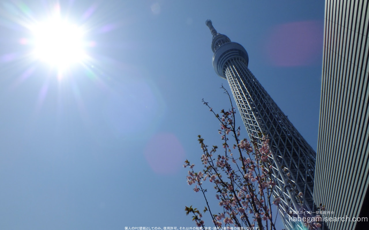 東京スカイツリー 壁紙 公式壁紙 スクリーンセーバー 無料ダウンロード