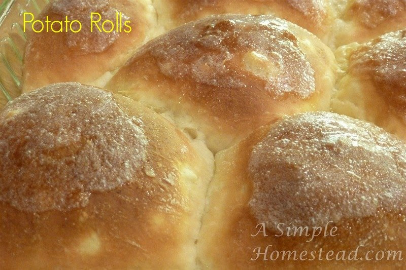 potato rolls - baked closeup(3)