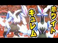 キュレム 育成論 ポケモンgo 626465-キュレム 育成論 ポケモンgo