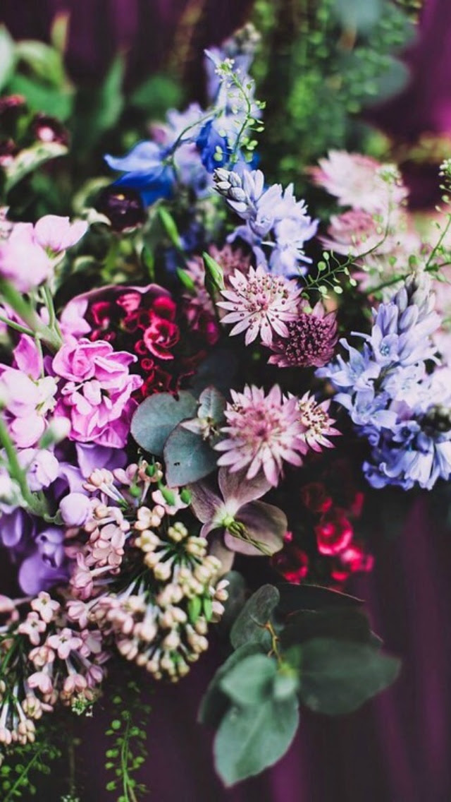 Wallpaper Iphone用壁紙27枚 14 07 08 花 木 Bitzedge